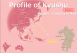 Profile of Kyushu（Summary）English